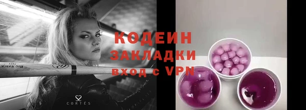 прущие крисы Елизово