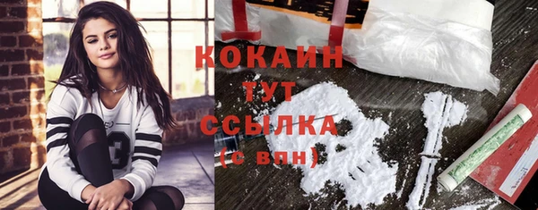 прущие крисы Елизово