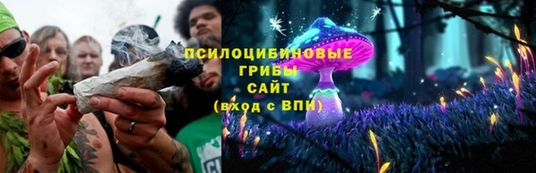 гидропоника Ельня